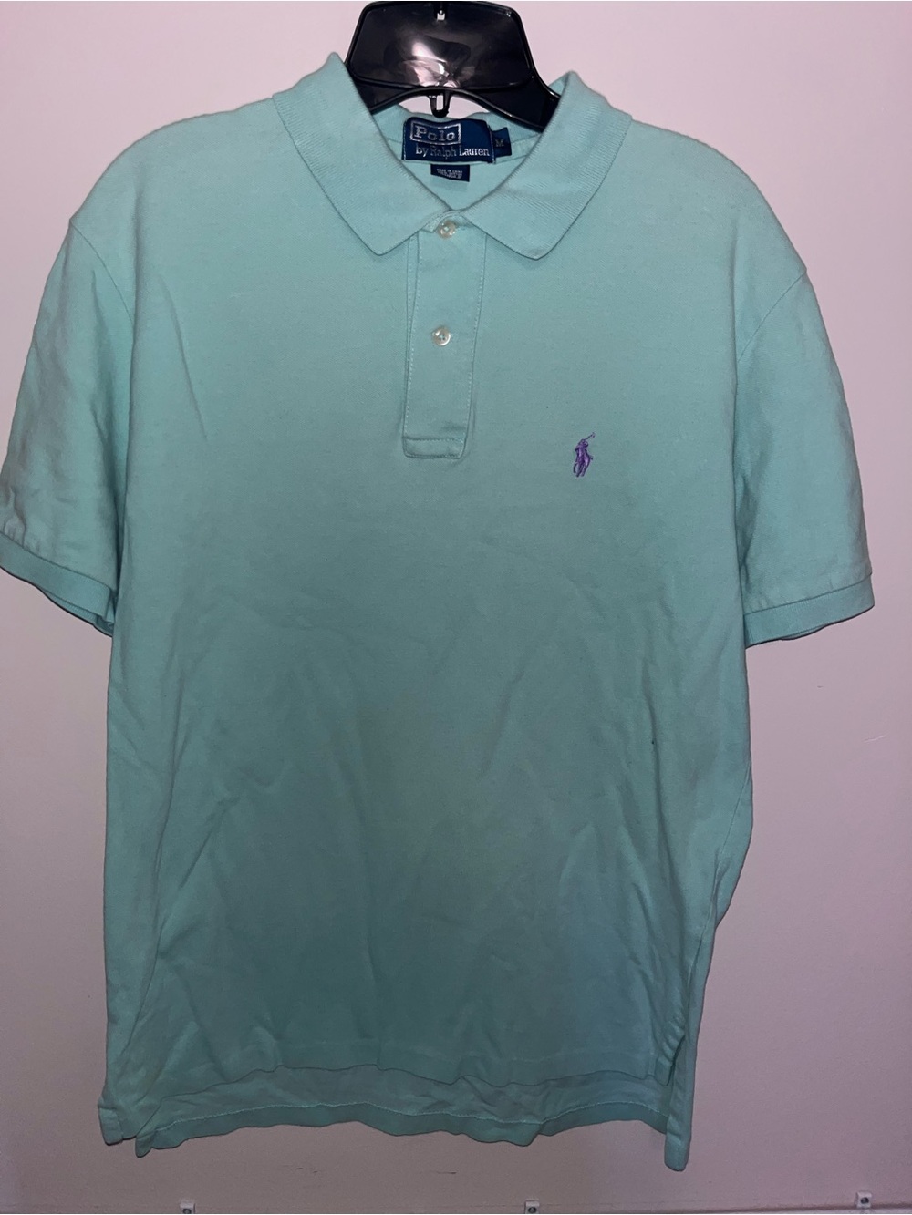 Ralph Lauren Polo Shirt in Mint Green with Purple Pony